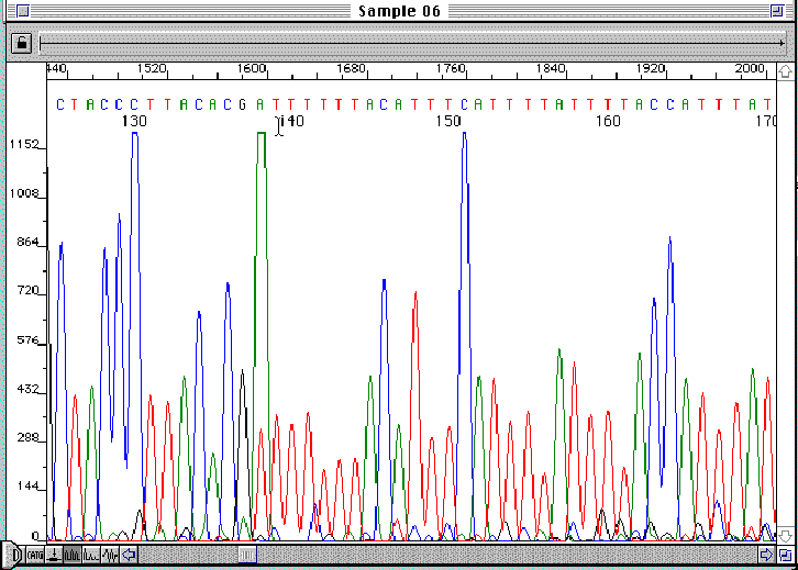 wpe2.gif (26054 octets)