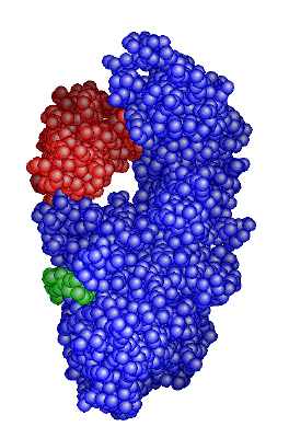 enzyme.gif (40975 octets)