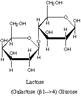 lactose.gif (1410 octets)
