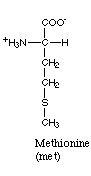 methionin.gif (556 octets)